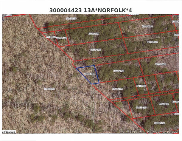 Image for Feb. 20th, 2024 - March 5th, 2024 -  City of Suffolk Nonjudicial Tax Auction