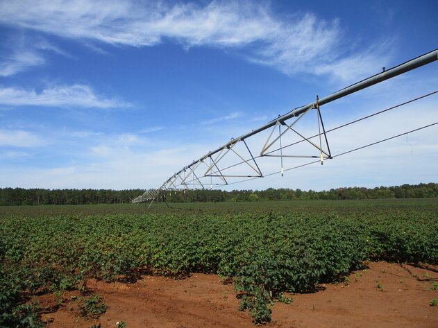 Image for ONLINE AUCTION - 189 Acre Farm in Randolph County, Georgia