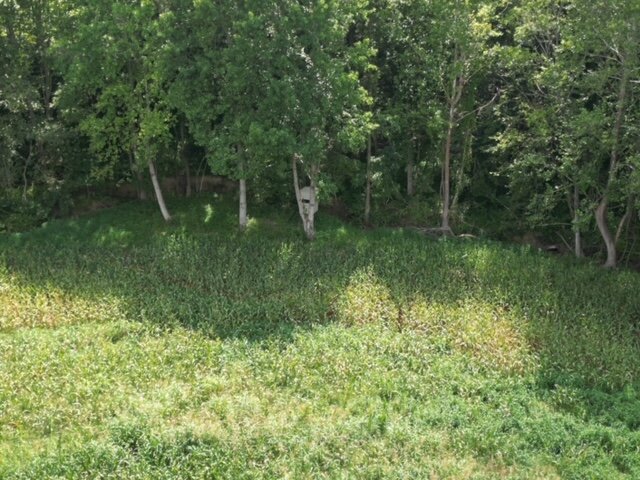 Image for 0 Old Central City Road・Powderly・KY