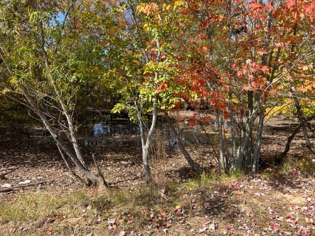 Image for 0 Old Central City Road・Powderly・KY