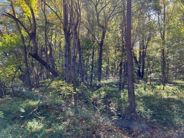 Image for 0 Old Central City Road・Powderly・KY