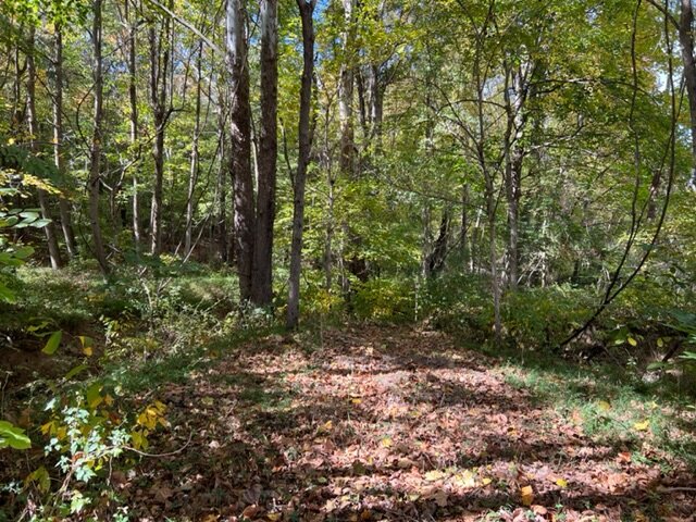 Image for 0 Old Central City Road・Powderly・KY