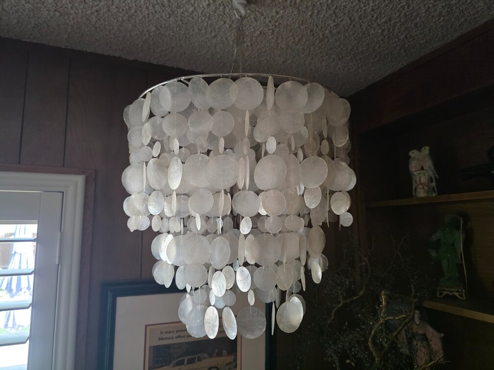 Cascading Shell 4-Light Pendant 20in Lights 4pcs