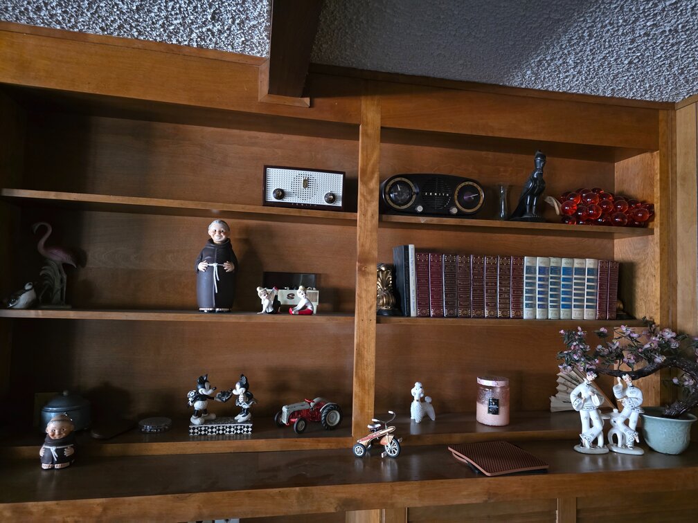 Contents Of Book Shelf Shown In Picture