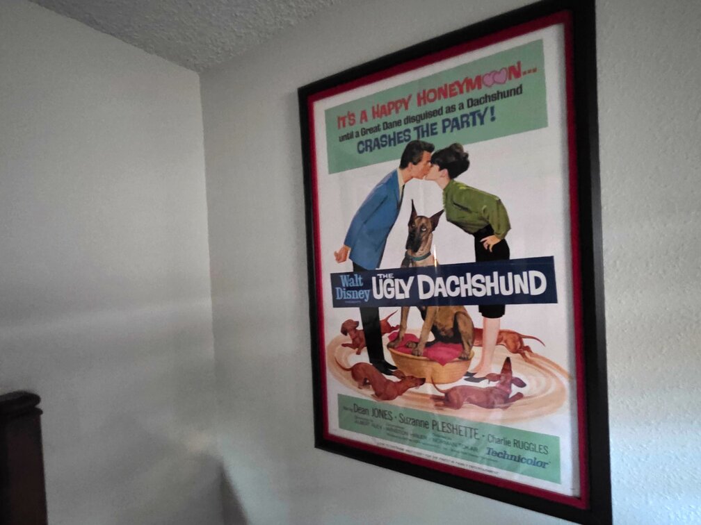 Wall Decor- The Ugly Dachshund