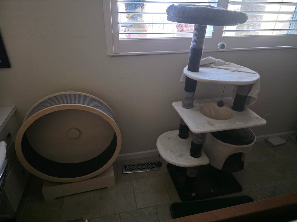 Cat Tree And Wheel 2pcs