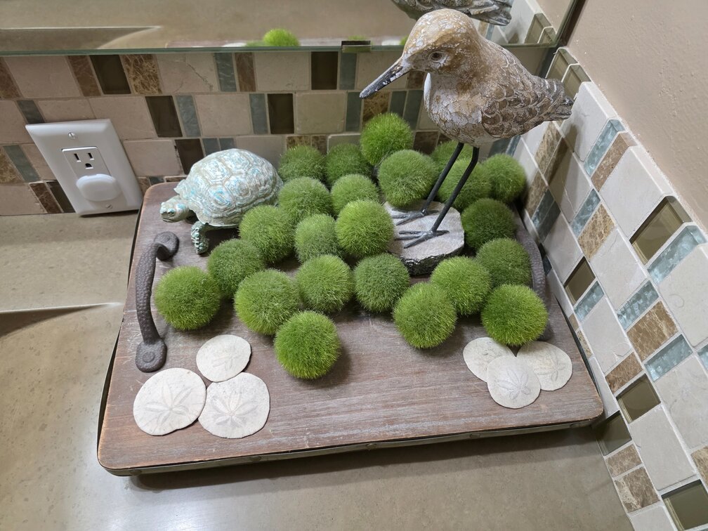 Bathroom Decor