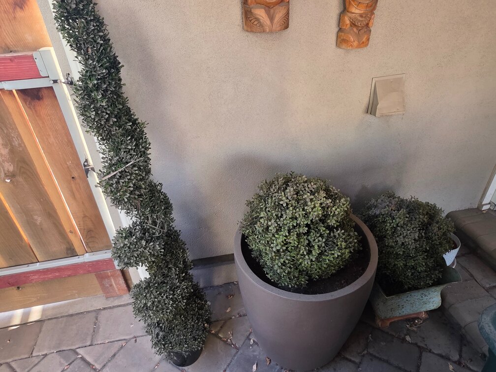 Artificial Plants 3pcs