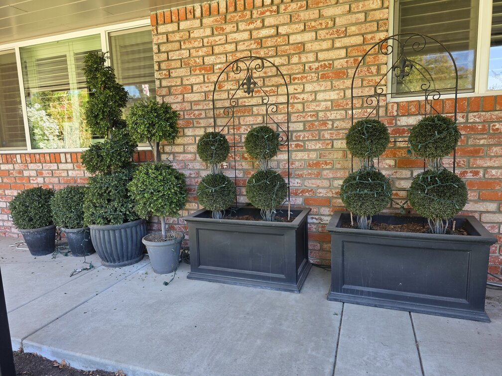 Artificial Plants In Planters 6pcs