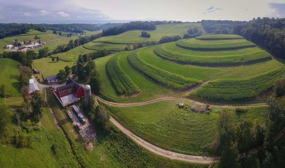 Auctions Kaufman Auctions Kaufman Auctions