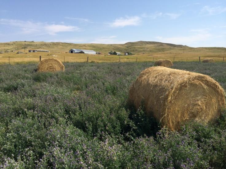 Current Auctions Sturgis Auctions Online, LLC