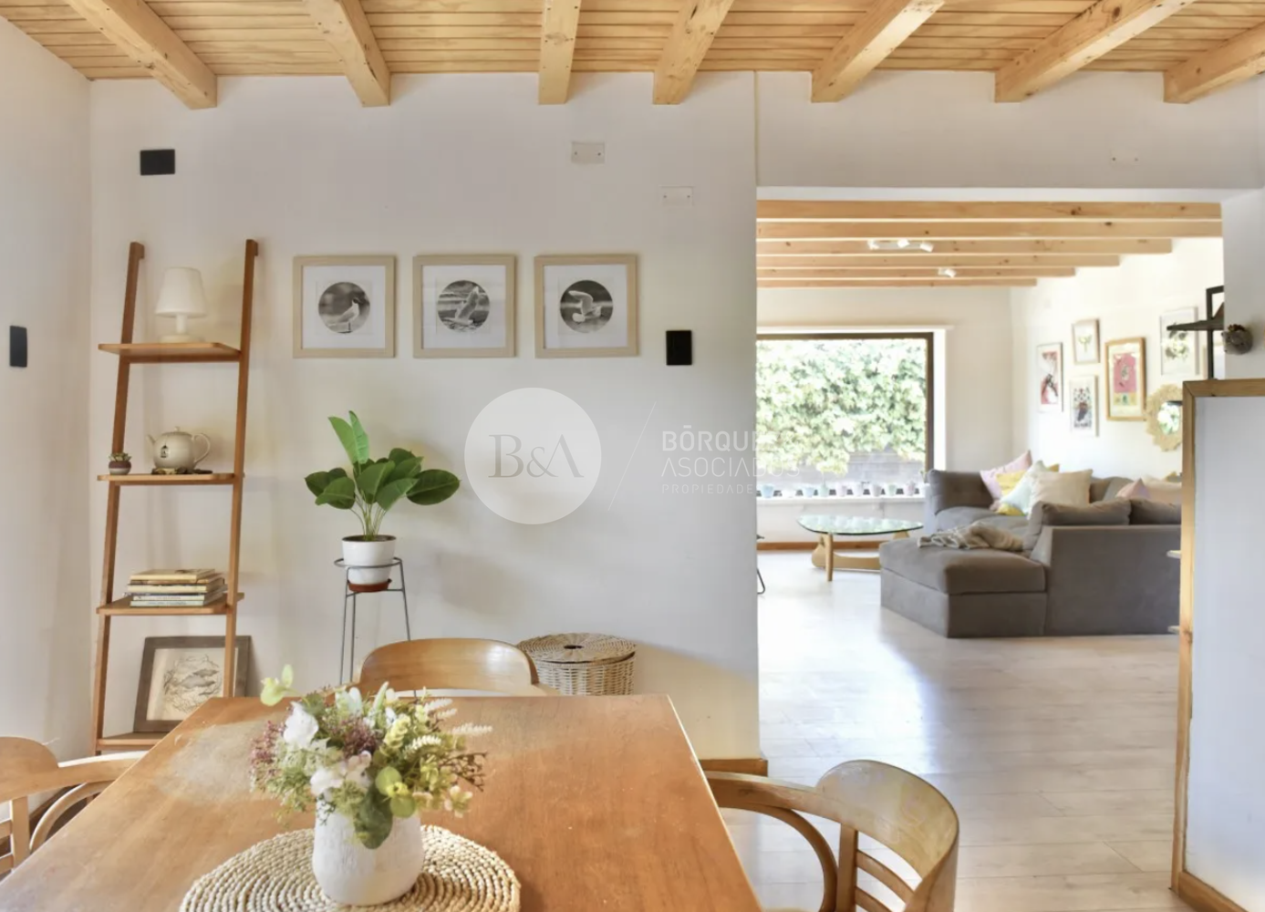 Captura de pantalla 2025 05 19 a la%28s%29 12.39.34