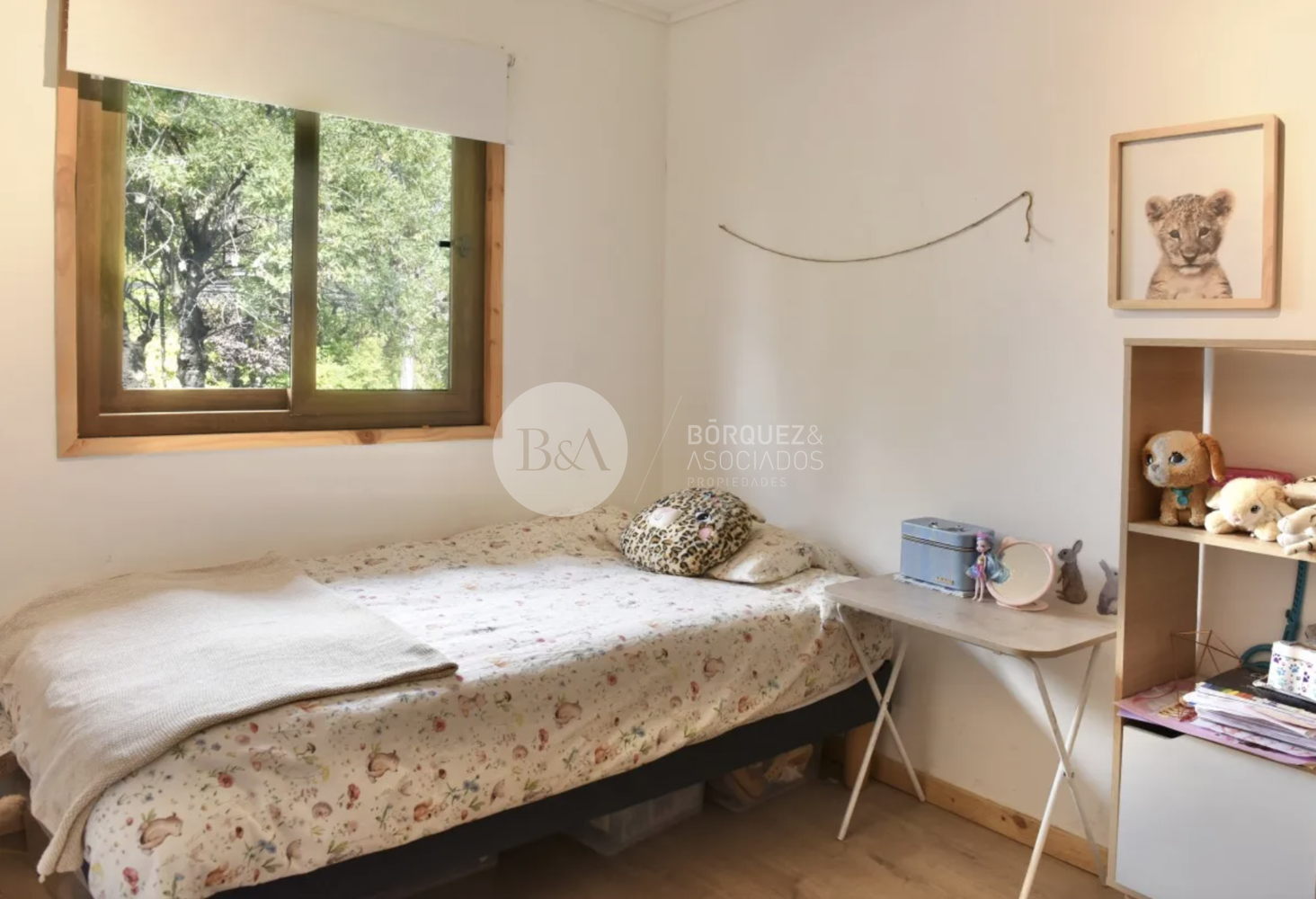 Captura de pantalla 2025 05 19 a la%28s%29 12.40.29