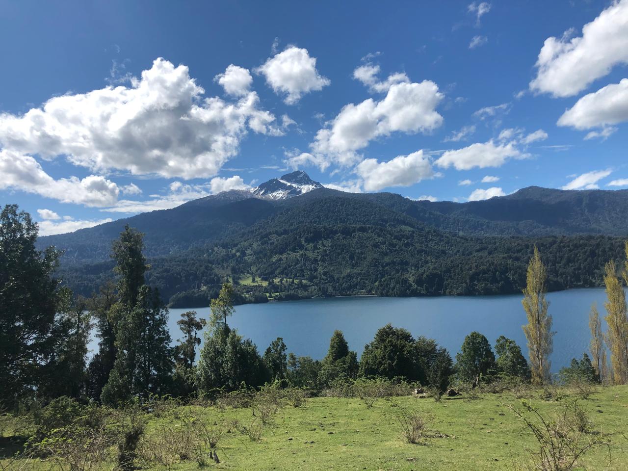 Photo 2025 01 31 15 04 33