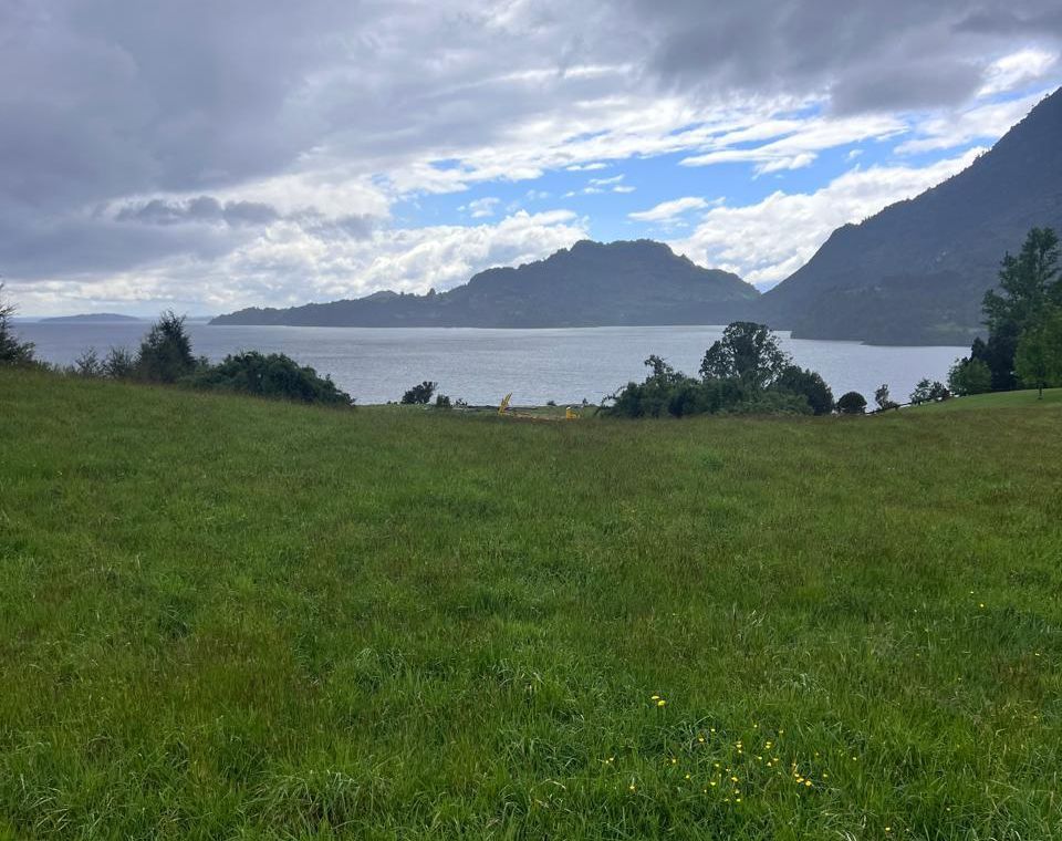 Photo 2026 01 12 13 26 47