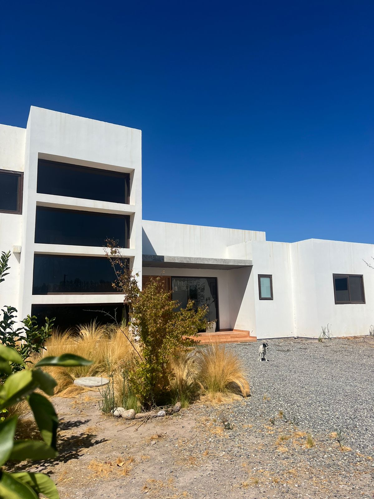 Photo 2026 01 20 09 10 17