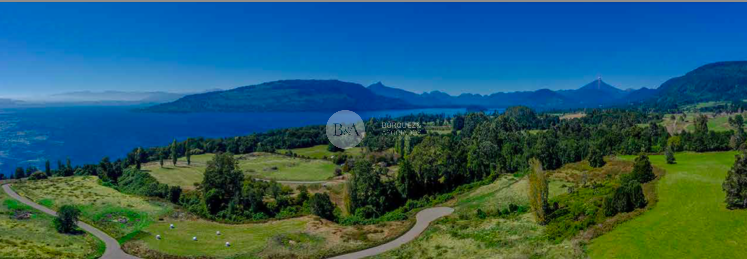 Captura de pantalla 2026 03 18 a la%28s%29 10.50.52