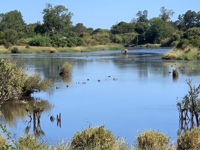 Photo 2026 03 19 08 33 51