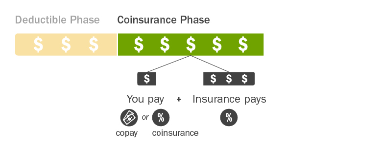 C4HC_Insurance-Costs-Explained_Phase2