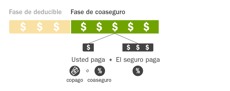 C4HC_Insurance-Costs-Explained_Spanish_Phase2
