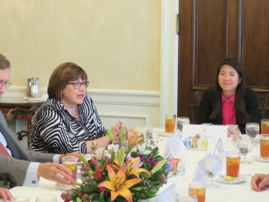 Ambassador Lomellin addresses the CAA Fellows