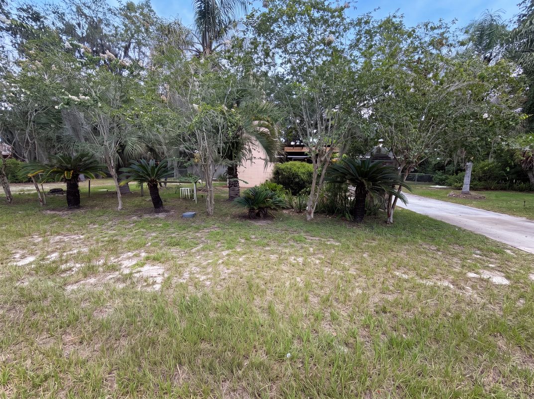 Photo 18 of 21 of 6854 Holly Hill Rd, Melrose, FL