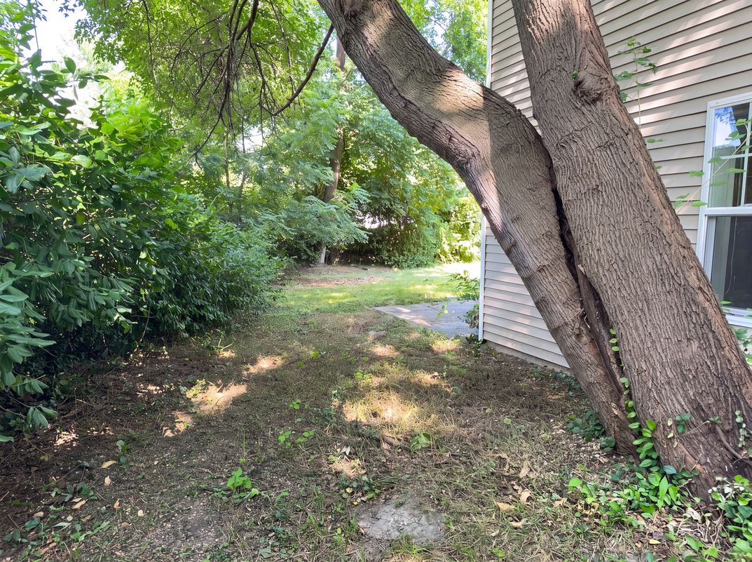 Photo 18 of 21 of 911 Foley Ave, Champaign, IL