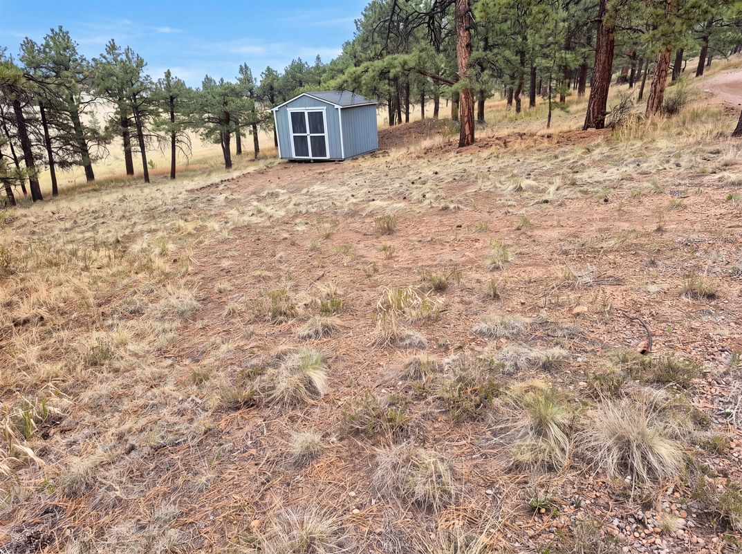 Photo 14 of 17 of 113 Blackberry Ct, Westcliffe, CO