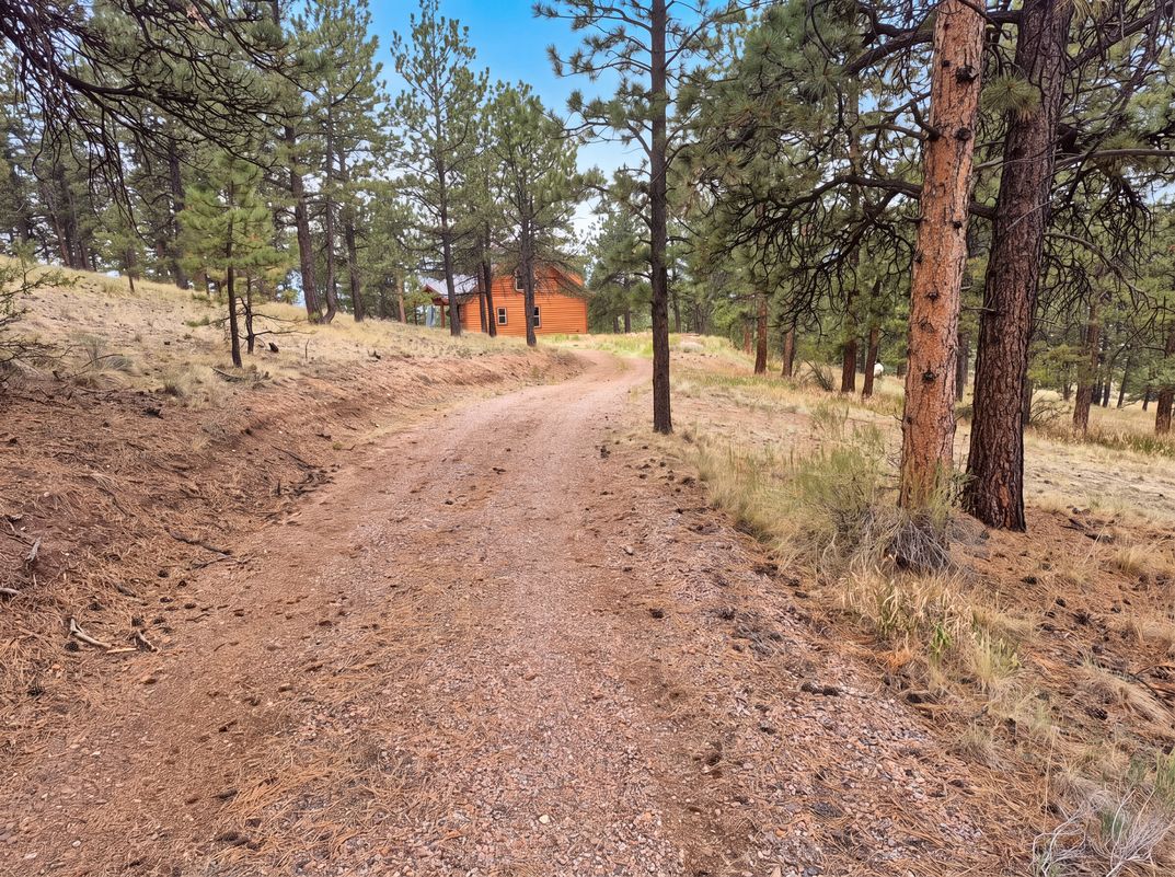 Photo 15 of 17 of 113 Blackberry Ct, Westcliffe, CO