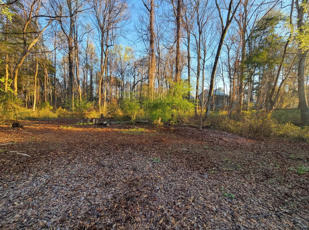 Photo 16 of 18 of 729 E Ivy Valley Dr, Fuquay Varina, NC