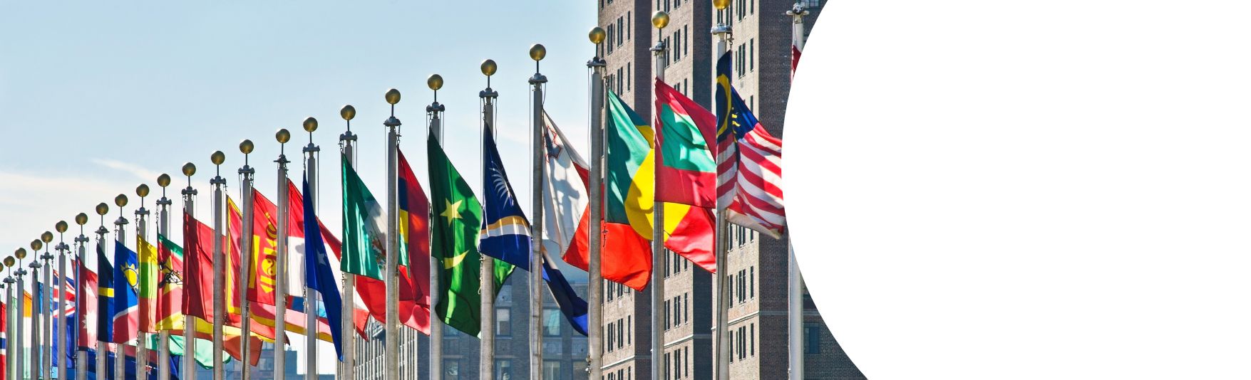 Commission on the Status of Women