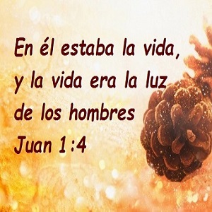 Resultado de imagen para REFLEXIONES DE LA VIDA