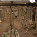 International Projects and Development Services