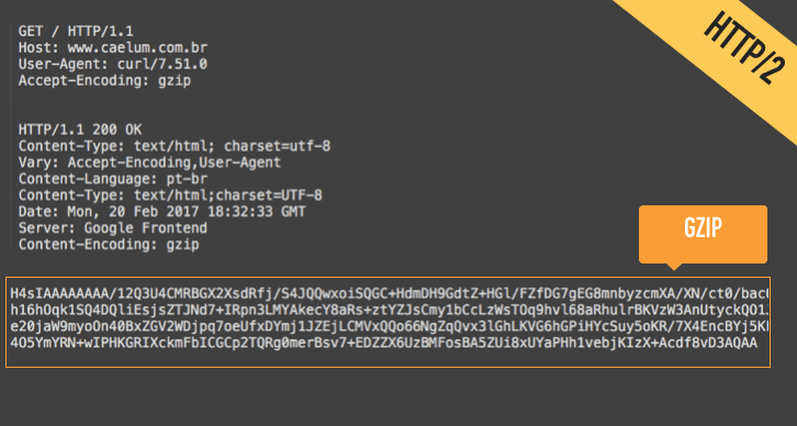 GZIP