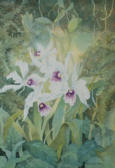 "GREENHOUSE ORCHID-STRATION