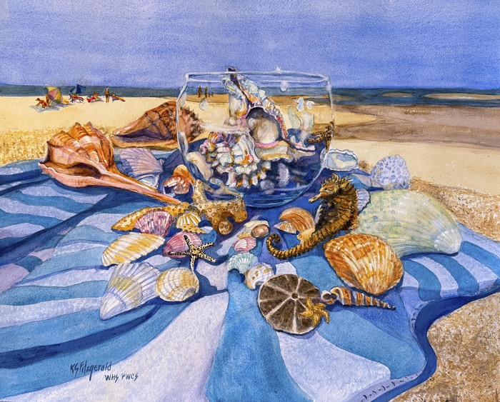Shell Collection