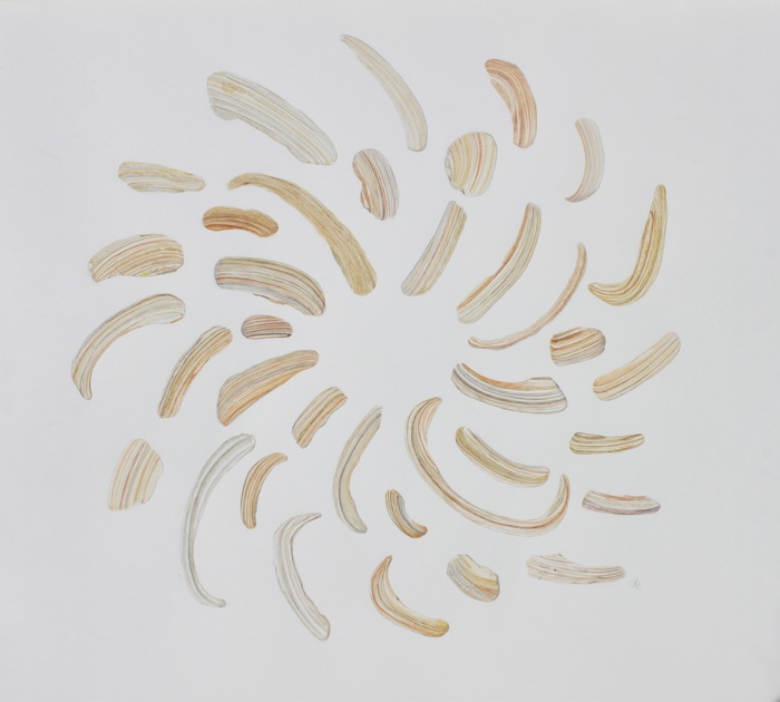 North Atlantic surf clam fragments are presented in a wheel shaped composition