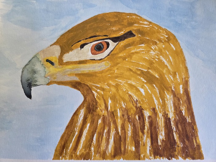 artistic portrait of a golden eagle