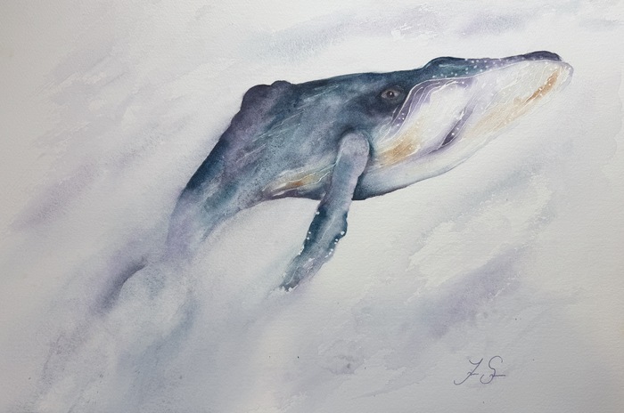 Soft watercolor of a humpback whale emerging through misty blue water, its body fading as it rises gently toward the surface