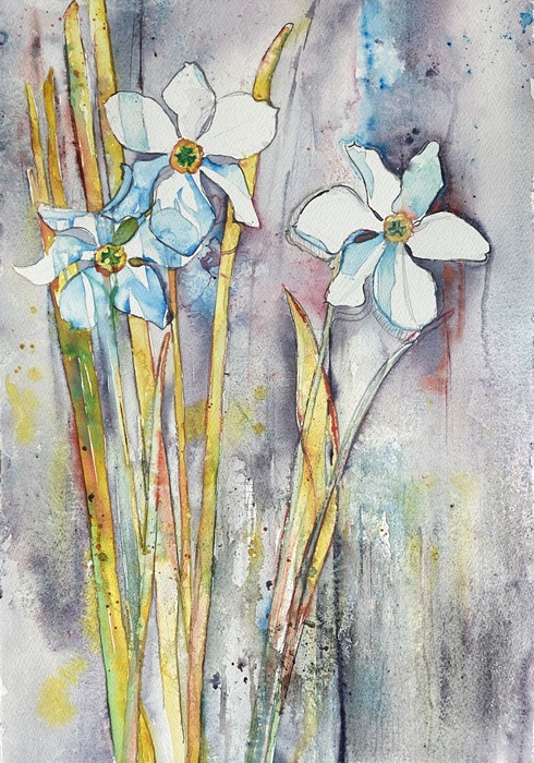 Dafodils