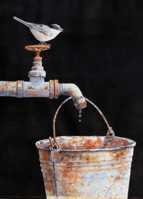 A black-capped chickadee resting on a rusty faucet, while below water drips into a rusty bucket.