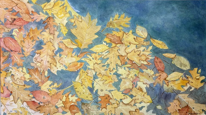 Leaves on Lake George