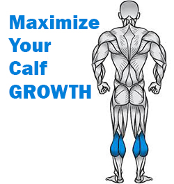 types of calf raises