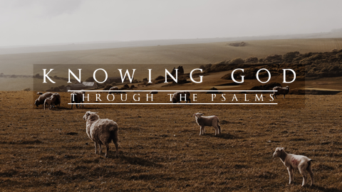 The Assurance of God's Help and Protection
