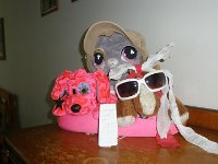 3UTue (176).JPG