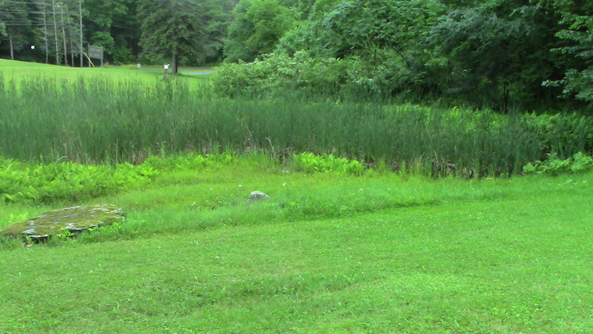 MISC 0391