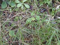 MISC_2212.JPG