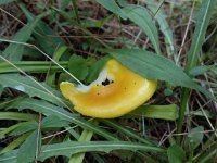 MISC_2300.JPG