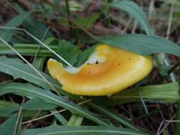 MISC_2308.JPG
