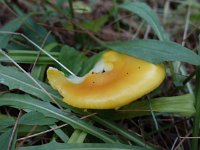 MISC_2310.JPG